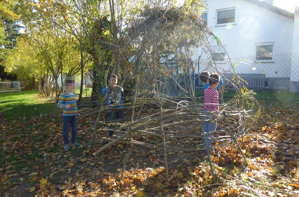 Kreativ AG baut Weidenhaus