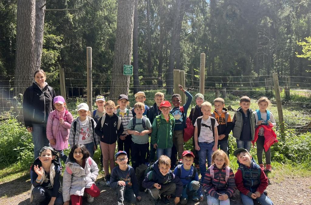 Wanderung zum Wildschweingehege Dietingen