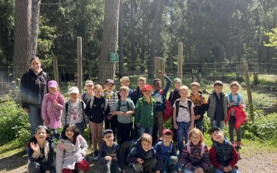 Wanderung Wildschweingehege Klasse 1a