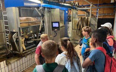 Ausflug der Klasse 1a zum Bauernhof