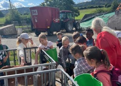 Grundschule Dietingen Ausflug zum Bauernhof