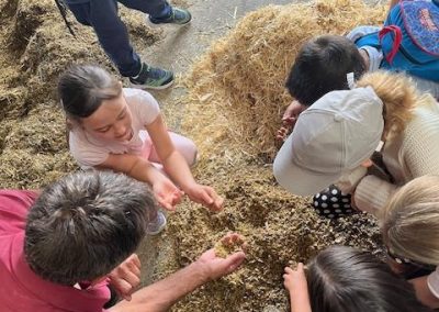 Grundschule Dietingen Ausflug zum Bauernhof