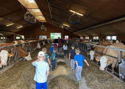 Grundschule Dietingen Ausflug zum Bauernhof