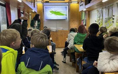 Besuch vom Ökomobil – Erforschung der Wiese
