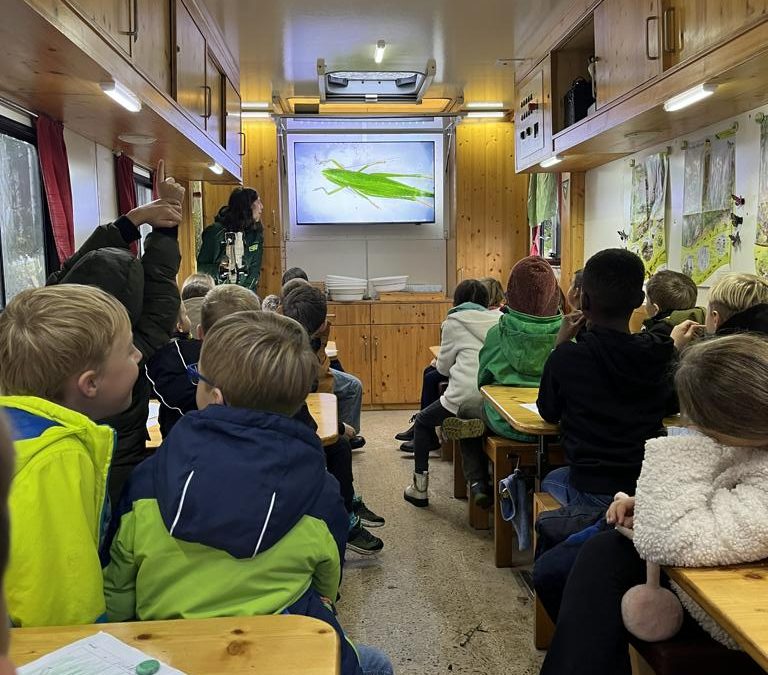 Besuch vom Ökomobil – Erforschung der Wiese