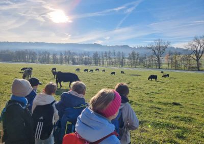 Grundschule Dietingen Wandertag November