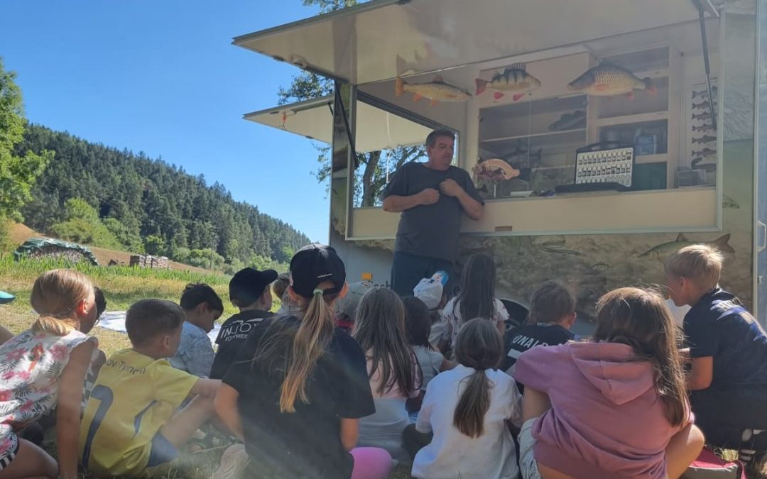 Mit Kescher und Lupe der Natur auf der Spur